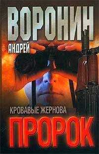 Андрей Воронин - Кровавые жернова