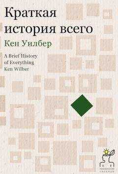 Кен Уилбер - Краткая история всего