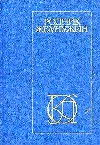 Амир Дехлеви - Газели