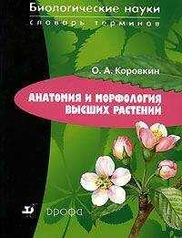 Олег Коровкин - Анатомия и морфология высших растений