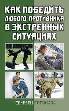 Сергей Кашин - Как победить любого противника в экстренных ситуациях. Секреты спецназа