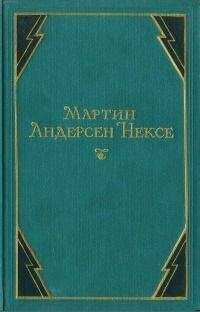 Мартин Нексе - В железном веке