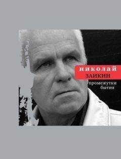 Николай Заикин - Промежутки бытия