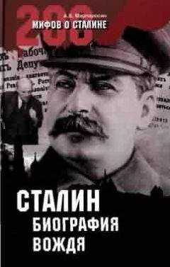 Арсен Мартиросян - Сталин: биография вождя
