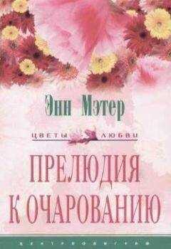 Энн Мэтер - Прелюдия к очарованию
