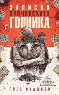 Глеб Сташков - Записки купчинского гопника
