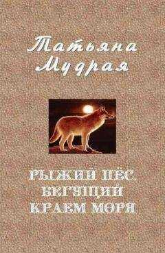 Татьяна Мудрая - Рыжий пёс, бегущий краем моря