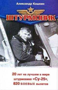 Александр Кошкин - Штурмовик