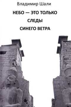 Владимир Шали - Небо – это только следы синего ветра