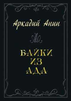 Аркадий Анин - Байки из ада (сборник)