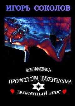 Игорь Соколов - Метафизика профессора Цикенбаума
