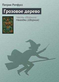 Патрик Ротфусс - Грозовое дерево