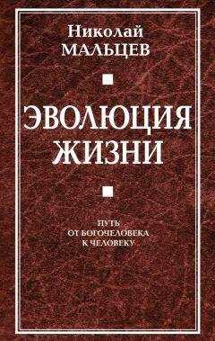 Николай Мальцев - Эволюция жизни. Путь от Богочеловека к человеку
