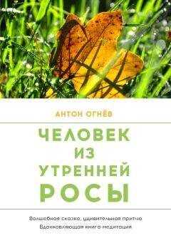 Антон Огнев - Человек из Утренней росы