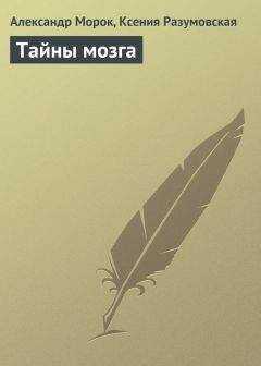 Александр Морок - Тайны мозга