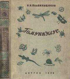 Николай Плавильщиков - Гомункулус
