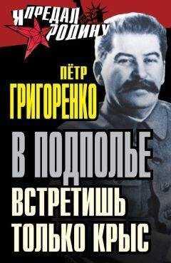 Петр Григоренко - В подполье встретишь только крыс