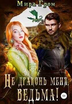 Не драконь меня, ведьма! (СИ) - Гром Мира