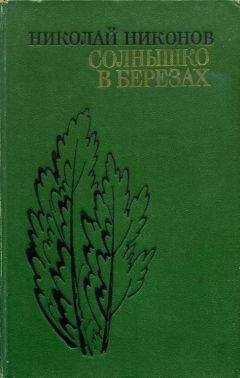 Николай Никонов - Солнышко в березах