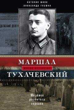 Наталия Шило - Маршал Тухачевский. Мозаика разбитого зеркала