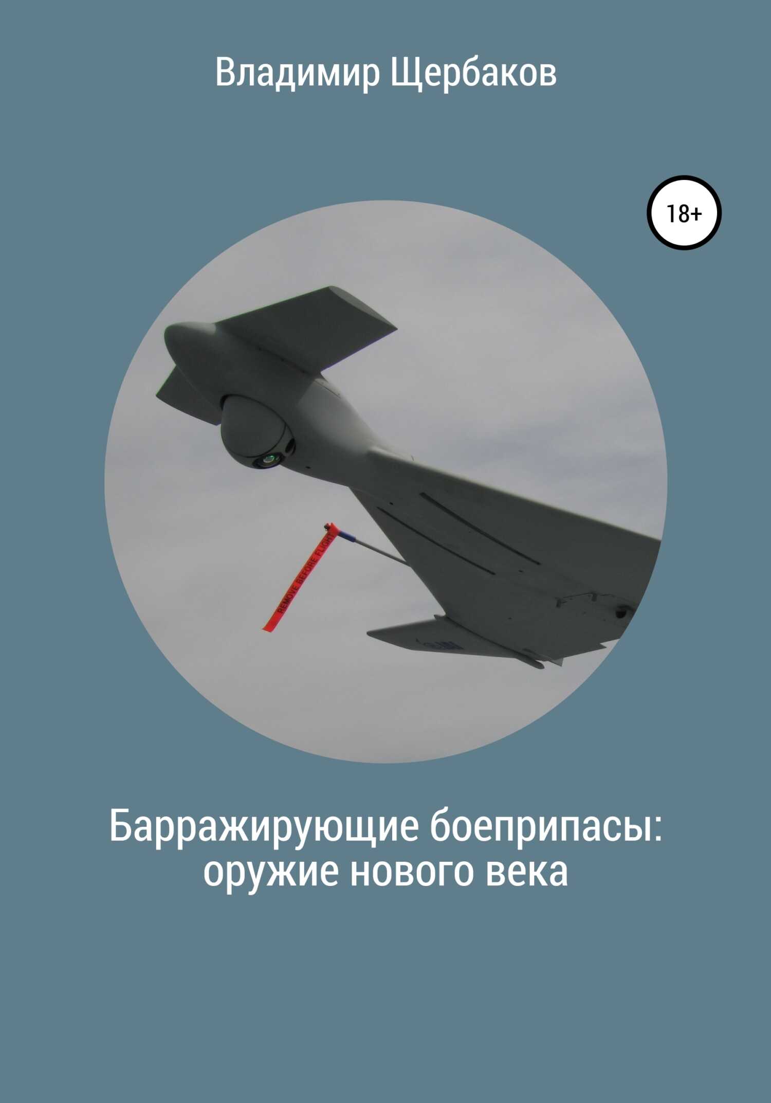 Барражирующие боеприпасы: оружие нового века - Владимир Иванович Щербаков