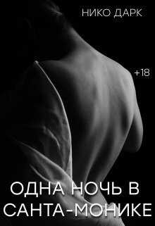 Одна ночь в Санта-Монике (СИ) - Нико Дарк