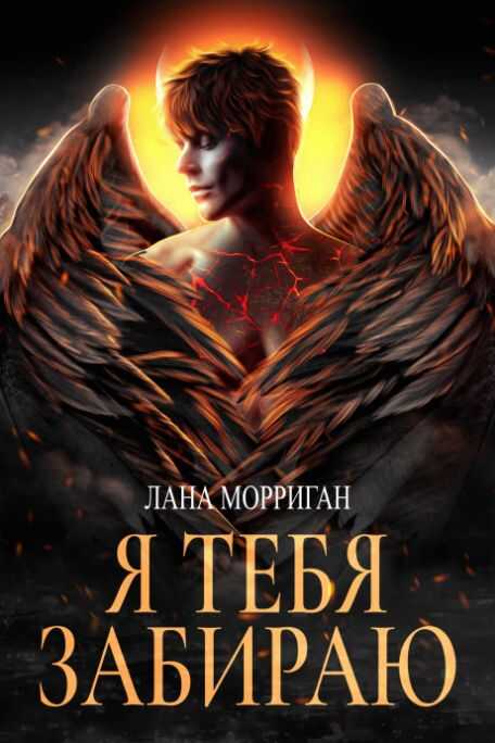 Я тебя забираю - Лана Морриган