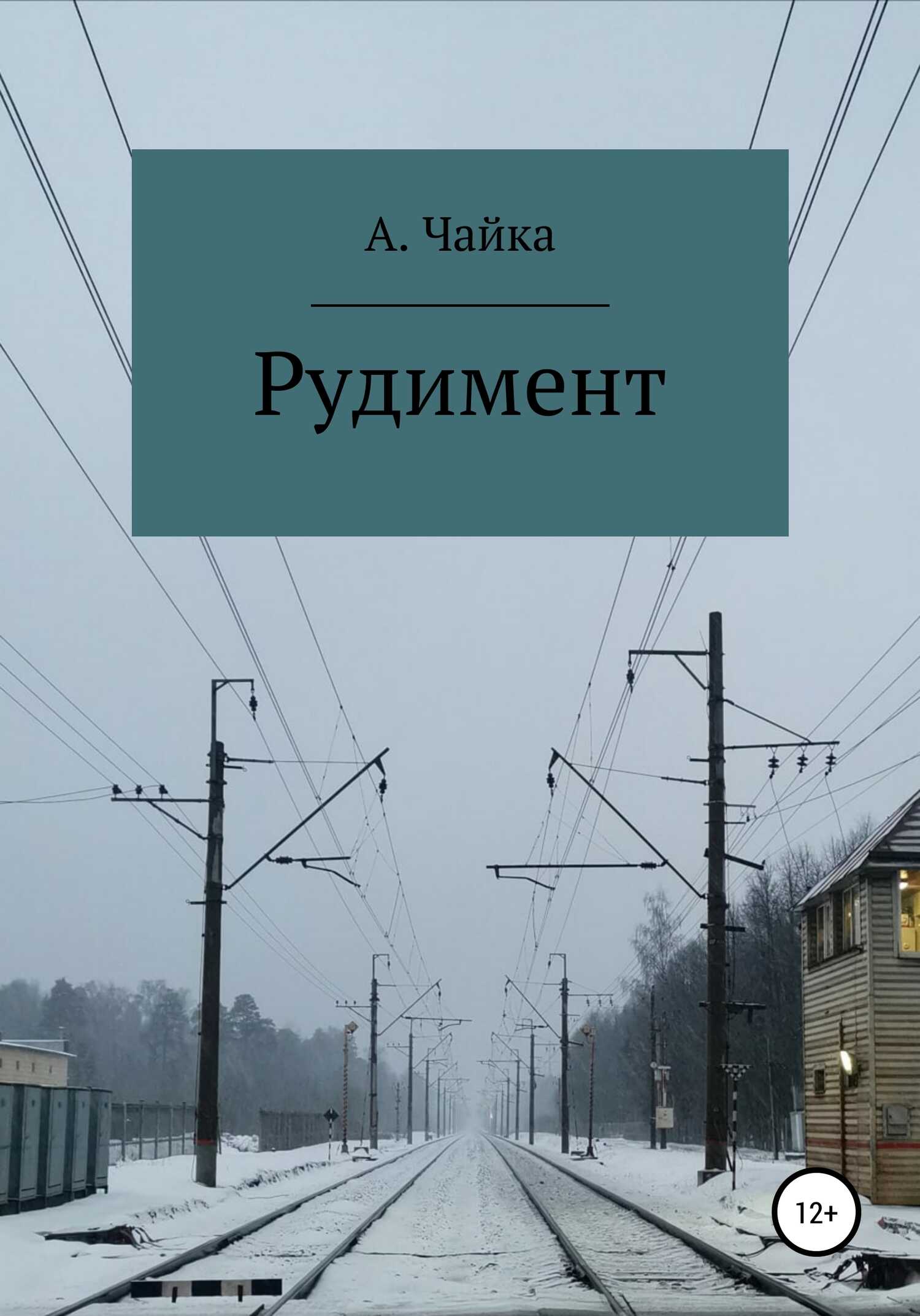 Рудимент - Алина Андреевна Чайка