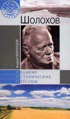 Андрей Воронцов - Шолохов