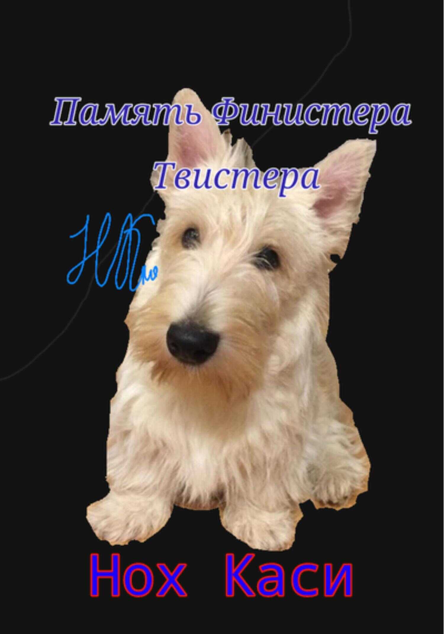Память Финистера Твистера - Нох Каси