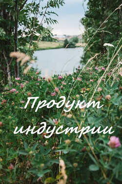 Продукт индустрии (СИ) - 
