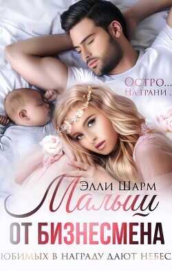 Малыш от бизнесмена. Любимых в награду дают небеса (СИ) - Шарм Элли
