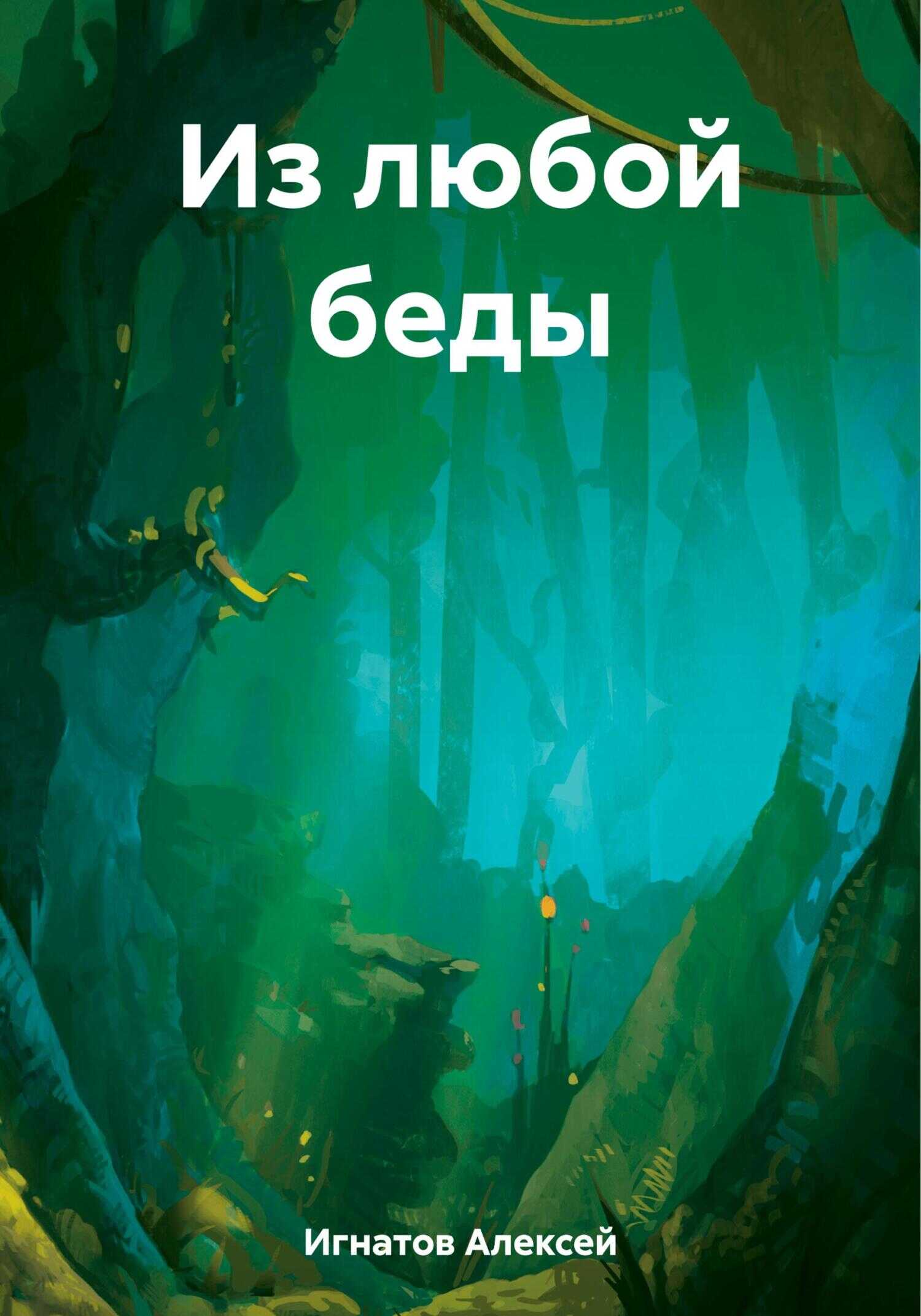 Из любой беды - Алексей Игнатов