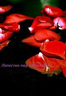 Лепестки под каблуками (СИ) - 