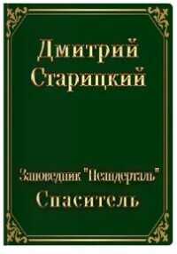 Спасатель (СИ) - Старицкий Дмитрий