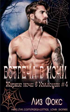 Встреча в ночи - Лиз Фокс