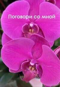 Поговори со мной (СИ) - Виолетта Елисеева