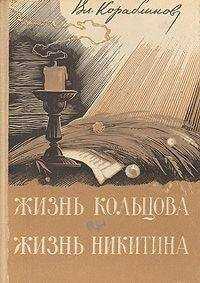 Владимир Кораблинов - Жизнь Никитина