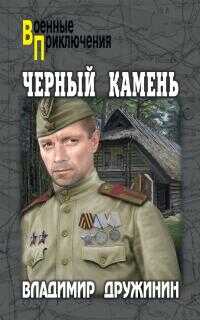 Черный камень - Владимир Николаевич Дружинин