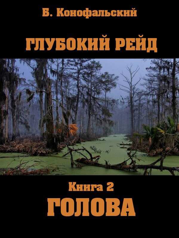 Глубокий рейд книга 2 ГОЛОВА - Борис Вячеславович Конофальский