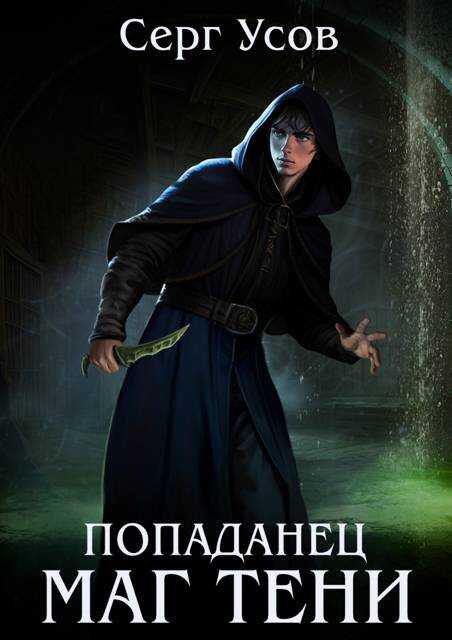 Попаданец. Маг Тени. Книга 11 - Серг Усов