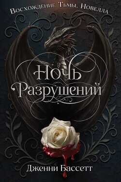 Ночь разрушений (ЛП) - Бассетт Дженни