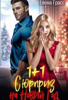 1 + 1. Сюрприз на Новый год - Елена Грасс