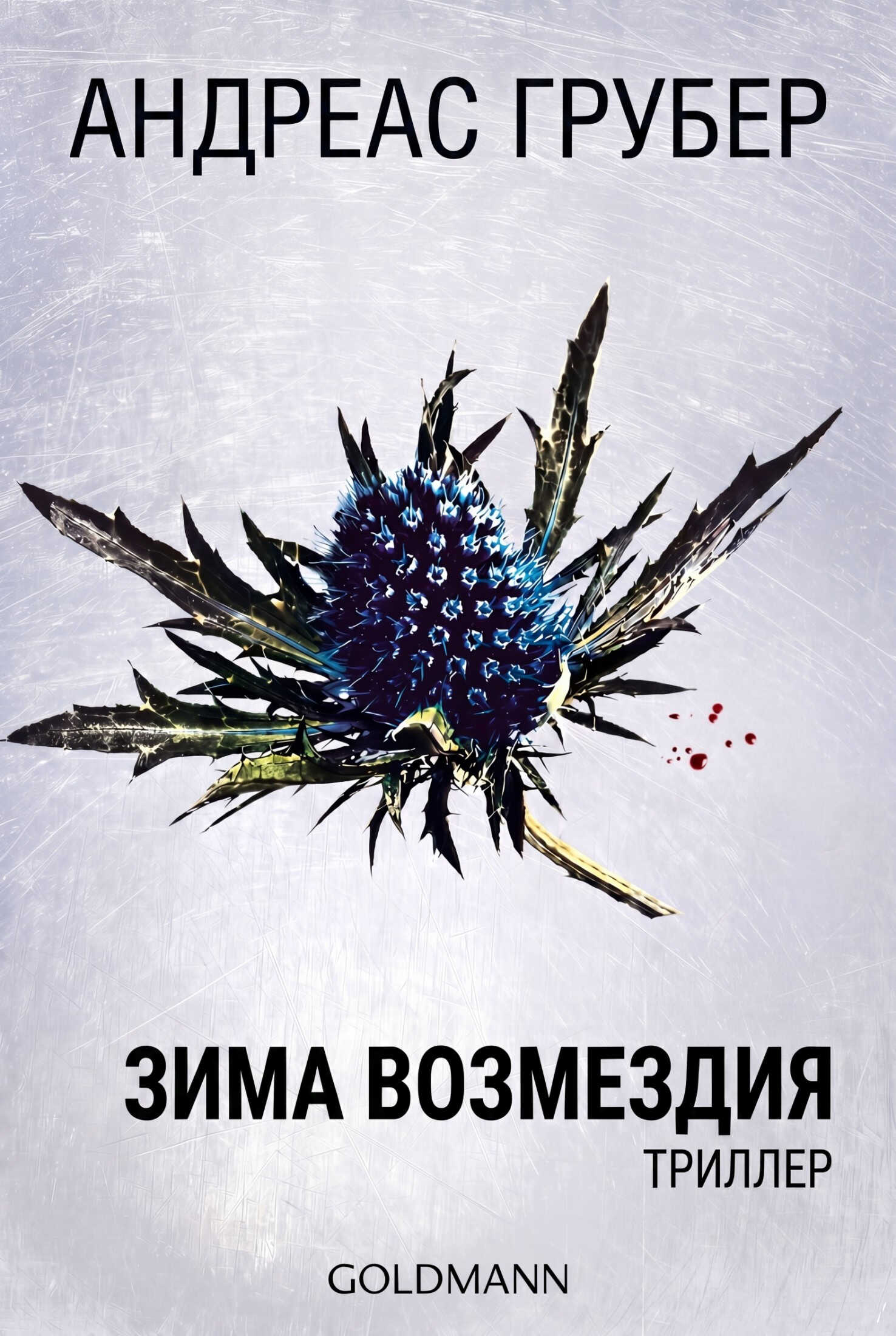 Зима возмездия - Андреас Грубер