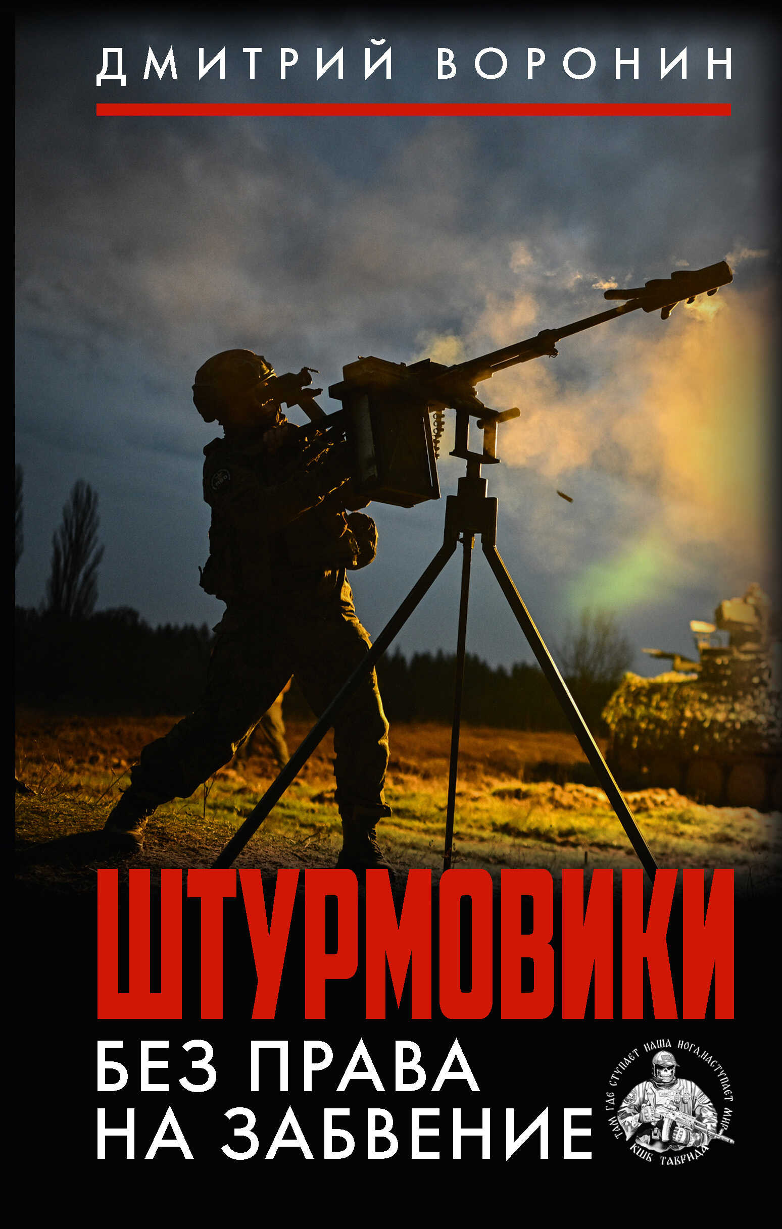 Штурмовики. Без права на забвение - Дмитрий Воронин