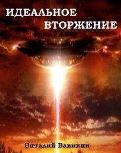 Виталий Вавикин - Идеальное вторжение