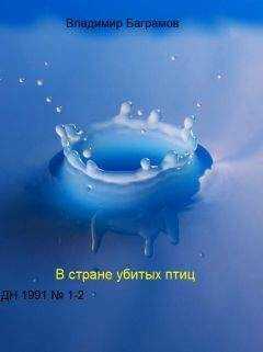 Владимир Баграмов - Страна убитых птиц