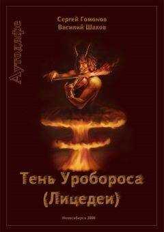 Василий Шахов - Тень Уробороса. Аутодафе