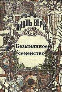 Жюль Верн - Безымянное семейство (с иллюстрациями)
