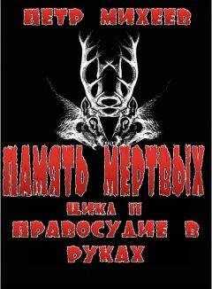 Пётр Михеев - Правосудие в Руках